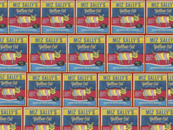 SUNDAY JAN. 28, 2018  MIZ SALLY Birthday/DVD Release party!